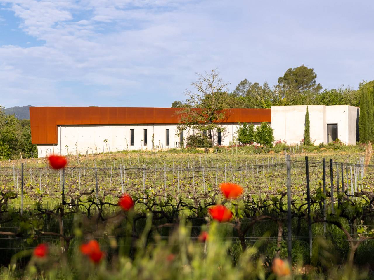 equipe vignerons domaine de cala