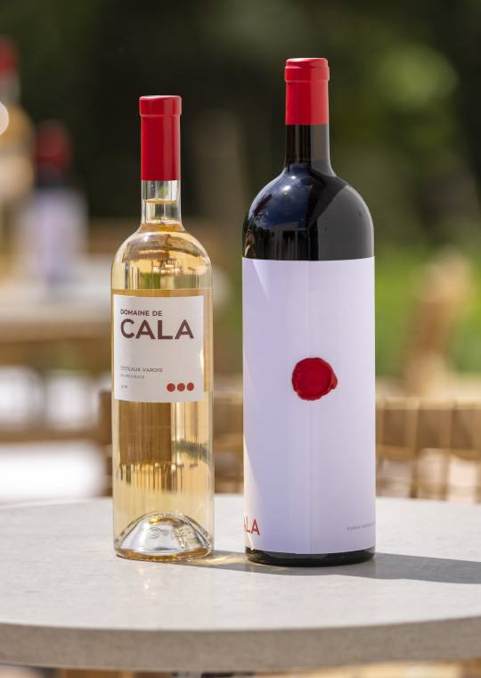Vins de provence domaine de cala